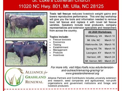 workshop flyer page 1