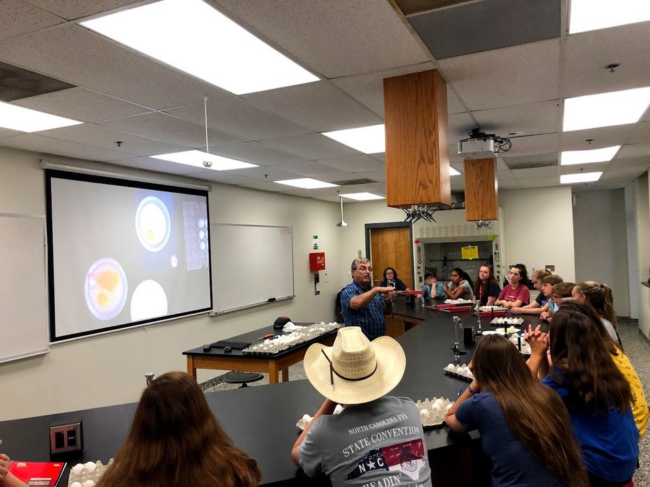 group watching presentation about egg quality