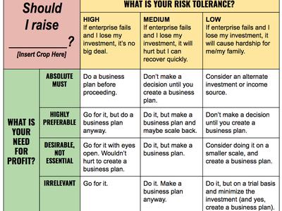 Decision table titled "Should I raise _____? WHAT IS YOUR RISK TOLERANCE?" with guidance cells.