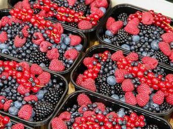 fresh berries