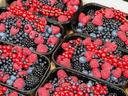 fresh berries