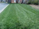 Strip of mowed green lawn beside a sidewalk and street with brick building in background