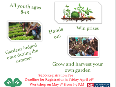 Flyer for mini-garden