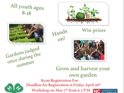 Flyer for mini-garden