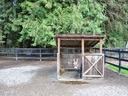 Small wooden livestock shelter with half-door open inside fenced gravel paddock