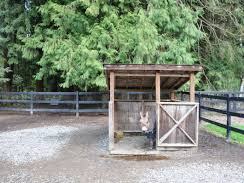 Small wooden livestock shelter with half-door open inside fenced gravel paddock