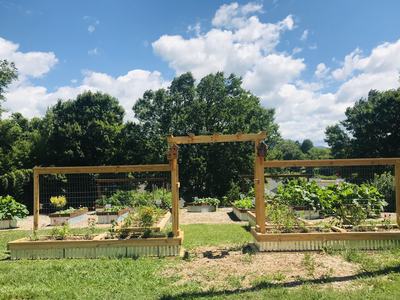 Raised vegetable garden beds behind a wooden arch gate with trees and blue sky
