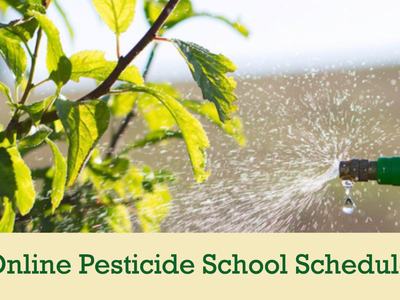 Green sprayer spraying leaves; text: "Spring 2021 Online Pesticide School Schedule Available"