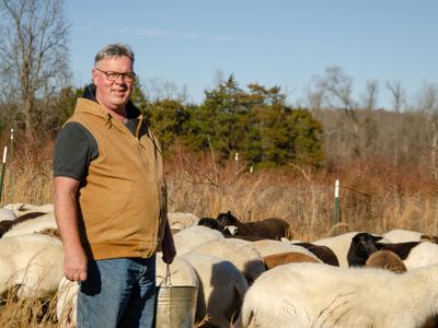 Dan Campeau with his flock of sheep