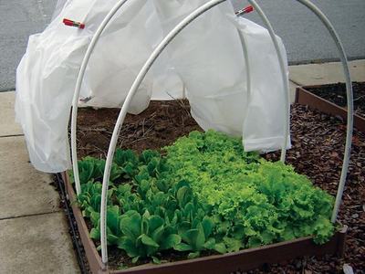 Covered Raised Bed