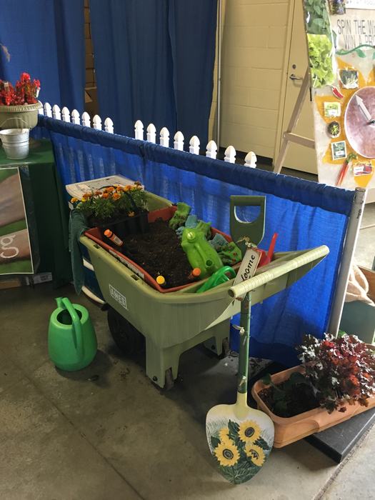 wheelbarrow with marigolds and planting tools