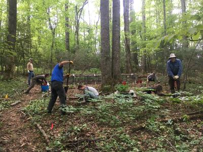Volunteers digging and planting in a shaded forest clearing