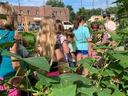 Children walking next to a raised garden bed.