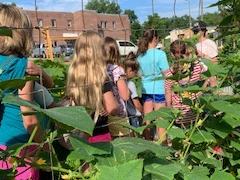 Children walking next to a raised garden bed.