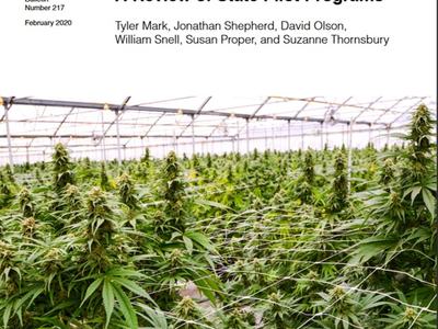 Cover of the USDA report on economic viability of hemp