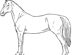 Drawing of horse