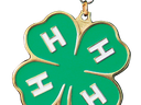 Green four-leaf clover medal with gold edges, green ribbon, and white "H" on each leaf