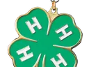 Green four-leaf clover medal with gold edges, green ribbon, and white "H" on each leaf