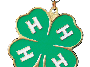 Green four-leaf clover medal with gold edges, green ribbon, and white "H" on each leaf