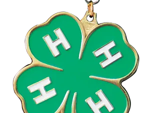 Green four-leaf clover medal with gold edges, green ribbon, and white "H" on each leaf