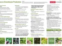 Tobacco Greenhouse Production poster image