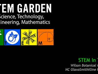 stem garden infographic slide