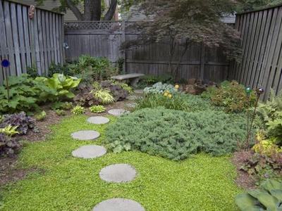 Smal backyard landscape