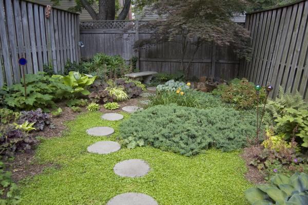 Smal backyard landscape