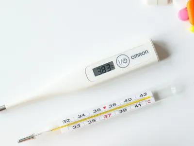 Strengthening The Immune System