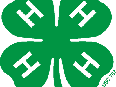 Green four-leaf clover with a white "H" on each leaf; small text "18 USC 707" near stem.