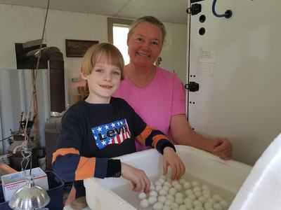 Child and adult sorting white spheres in a foam container