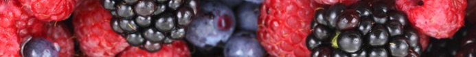 Mixed Berry Banner
