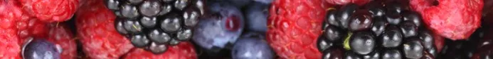 Mixed Berry Banner