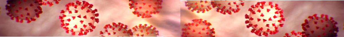 red image of the virus that causes COVID-19