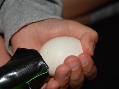 Hand holding a white egg while a black-green tool touches the eggshell