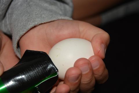 Hand holding a white egg while a black-green tool touches the eggshell