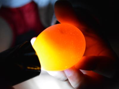 Candling an Egg