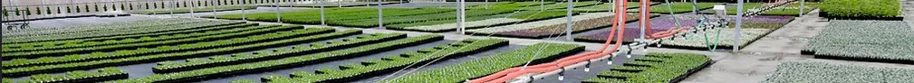 Greenhouse banner