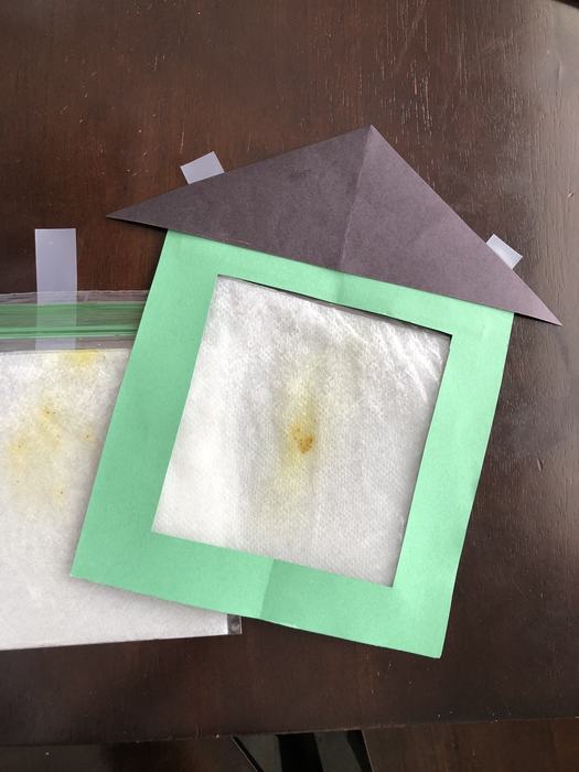 Finished Window Greenhouse