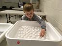 Child reaching into an incubator tray filled with white eggs in a classroom setting