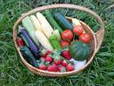 Vegetable Basket