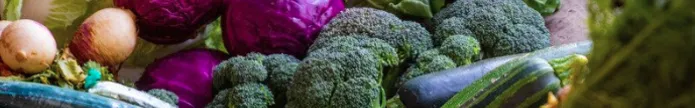 veggies banner