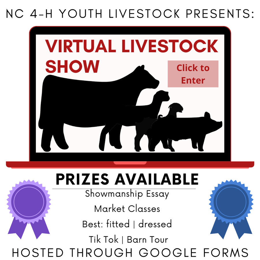 Livestock Show flyer