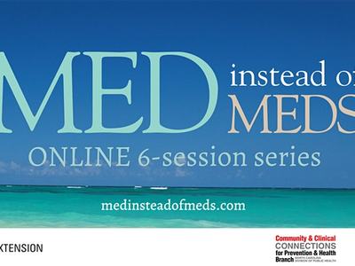MED instead of MEDS, ONLINE 6-session series, medinsteadofmeds.com over ocean background