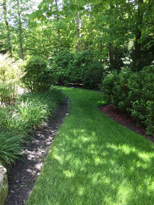 lawn and garden border