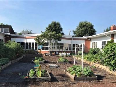 school garden