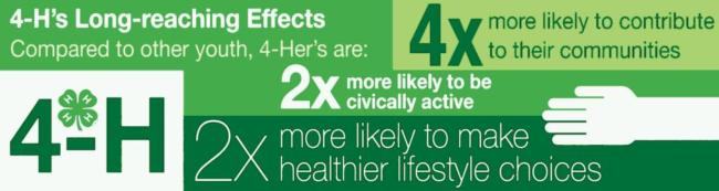 4-H banner