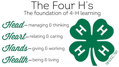 4-H Image