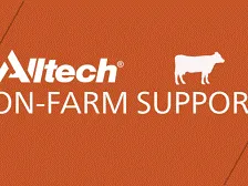 Alltech logo image
