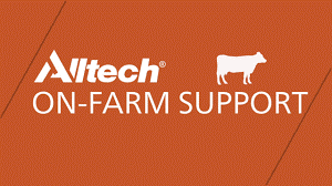 Alltech logo image